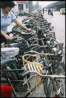 Rows of Bicycles :: Beijing, China