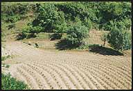 A Farmer's Life :: Chengde, Hebei Province