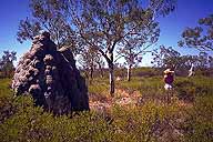 Termite Mound :: with Katrin for perspective :: Gregory Highway :: Queensland, Australia
