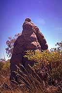 Termite Mound :: Gregory Highway :: Queensland, Australia