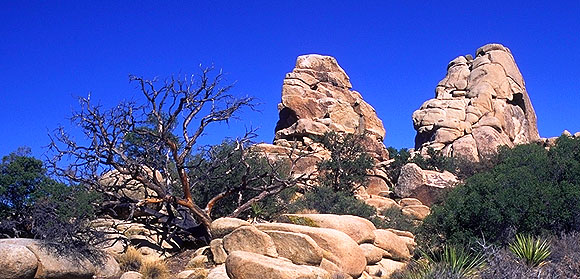 Hidden Valley<br>Joshua Tree National Monument<br>California, USA: Joshua Tree National Monument, California, United States of America
: Geological Formations; Landscapes.