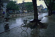 Bicycles :: Hanoi, Vietnam