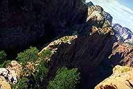 Descending :: Angel's Landing Trail :: Zion National Park :: Utah, USA